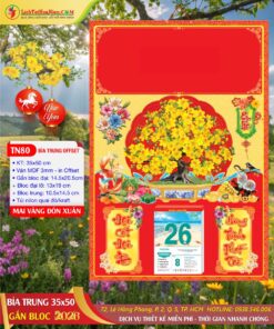 Bìa Trung Mai Vàng Đón Xuân